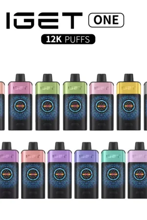 IGET ONE Wholesale - 12000 Puffs